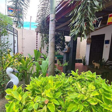 טנגלה Kavidi Villa Home Stay מראה חיצוני תמונה