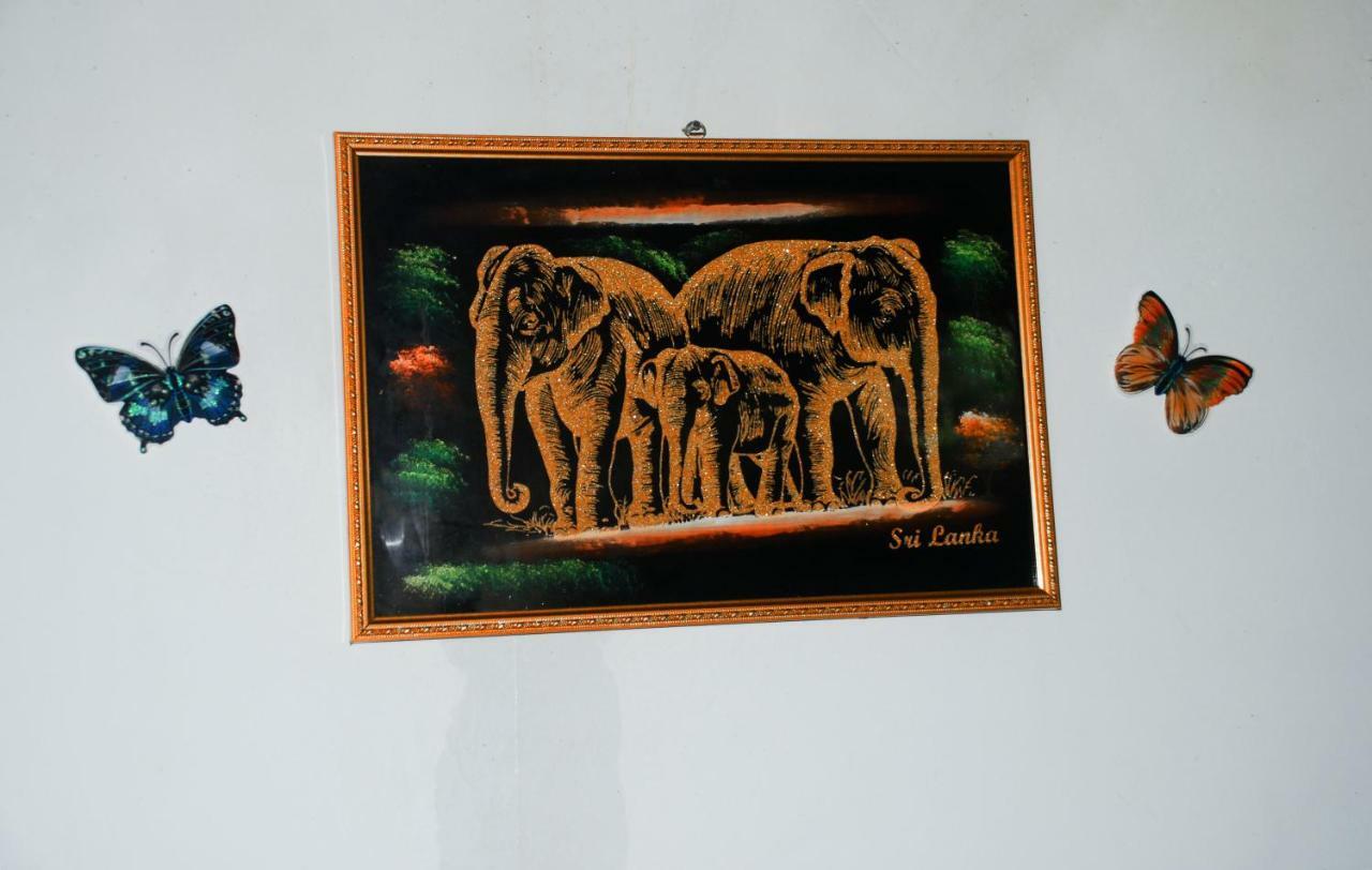 טנגלה Kavidi Villa Home Stay מראה חיצוני תמונה